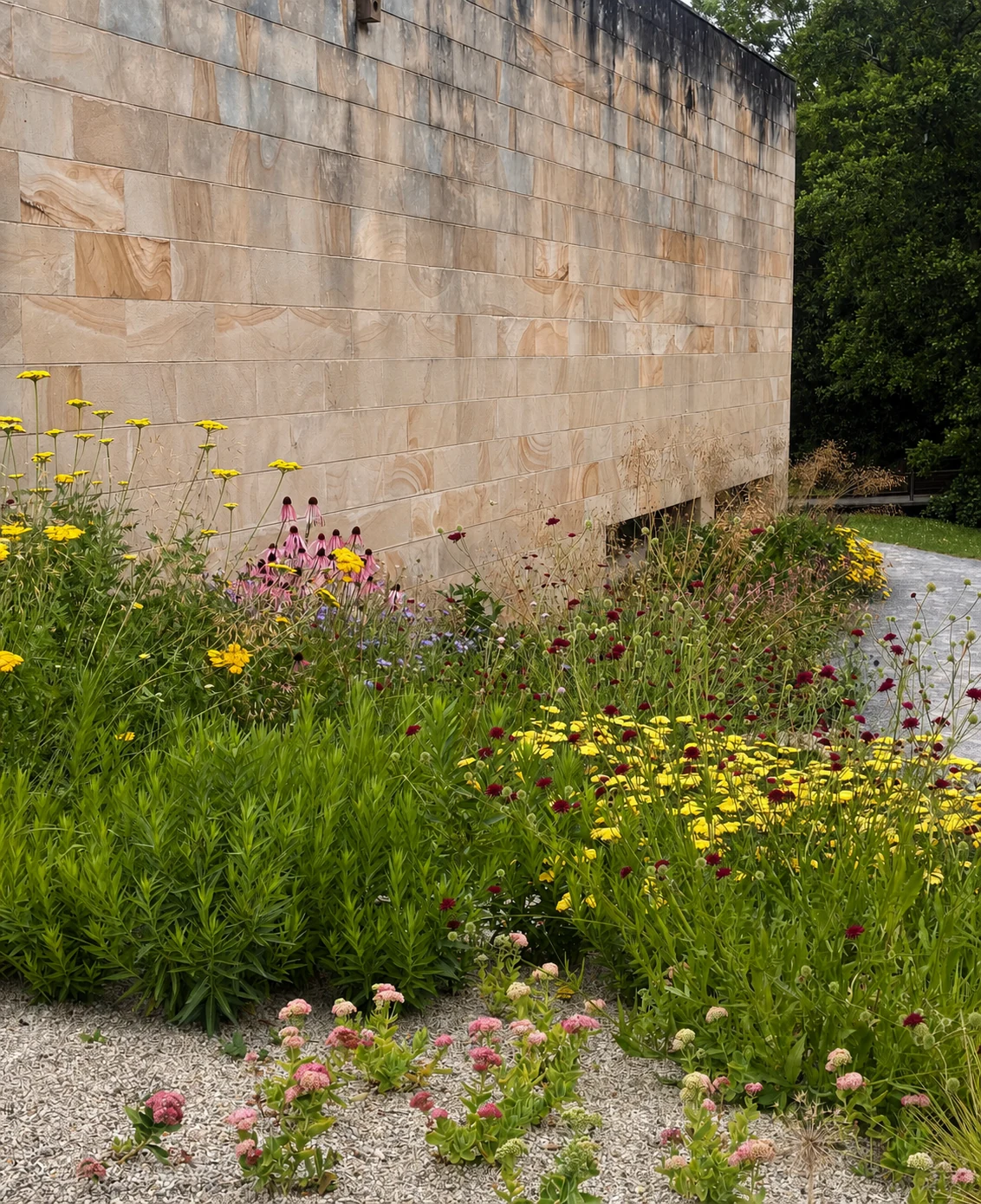 Plantación naturalista de vivaces en un diseño de jardín en Madrid